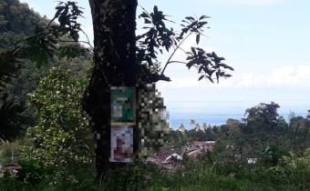 Pemasangan APS Caleg di Aceh Selatan Tak Sesuai Aturan